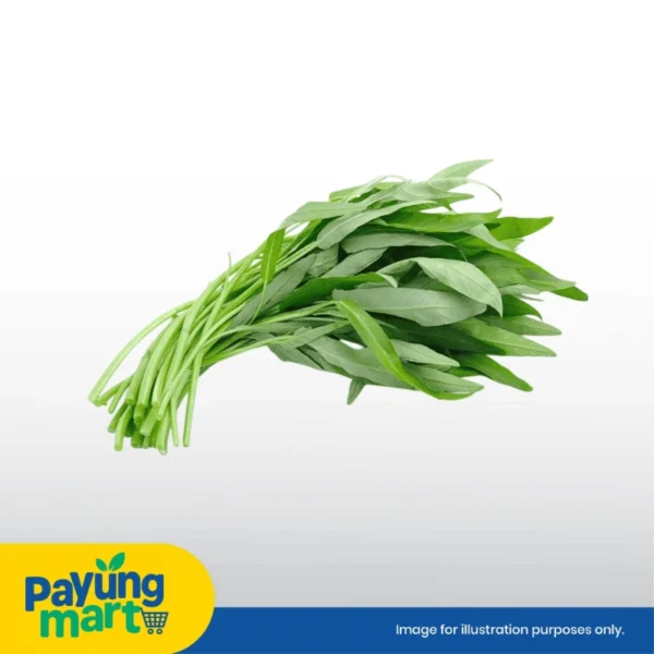 Kangkung