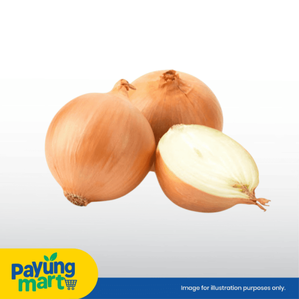 Bawang Holland