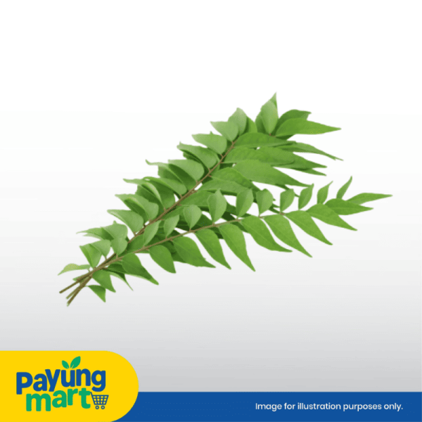 Daun Kari