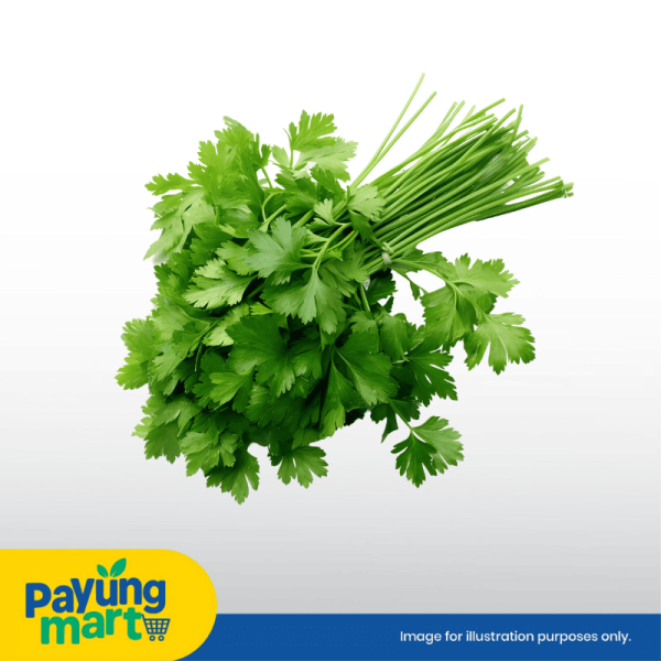 Daun Ketumbar