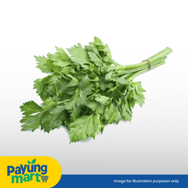 Daun Sup