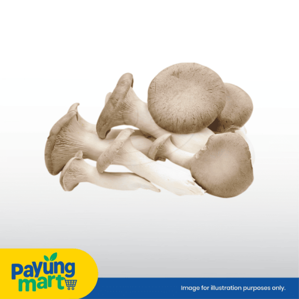 Mushroom King Oyster