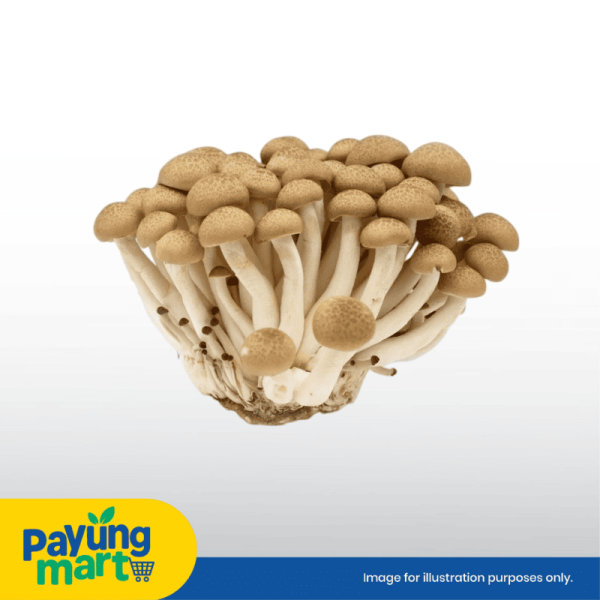 Mushroom Brown Shimeji