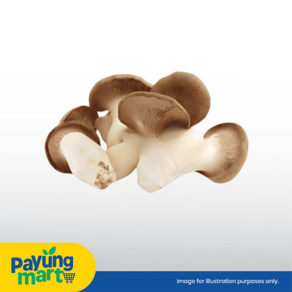 Mushroom Tiram