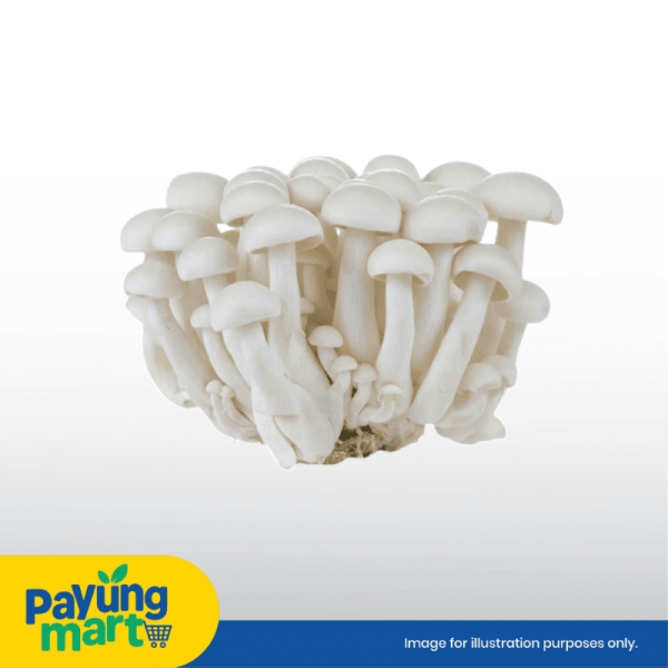 Mushroom White Shimeji