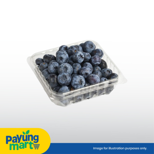 Camposol Blueberries