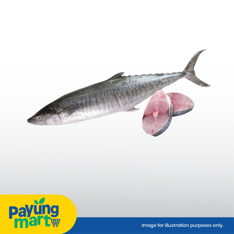 IKAN TENGGIRI BATANG 500G Ikan Tenggiri Batang - Image 1