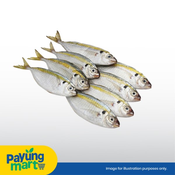 Ikan Selar