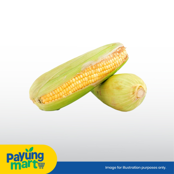 Jagung Manis