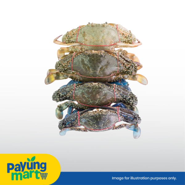 Ketam Bunga