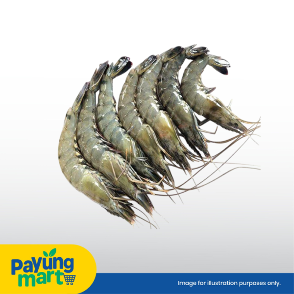 Udang Harimau