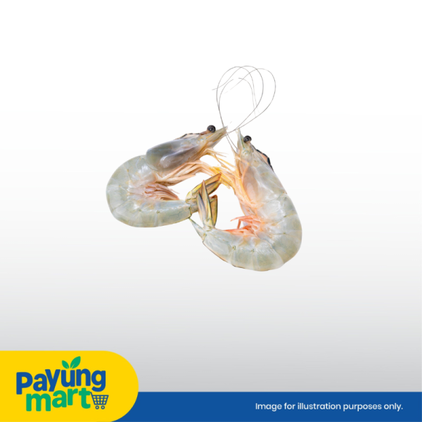 Udang Putih
